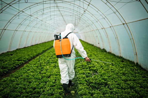 Best Pest Removal Services  in Sto Brook, NY