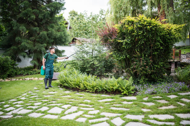 Best Pest Inspection Near Me  in Sto Brook, NY