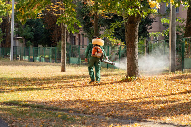 Stony Brook, NY Pest Control Company