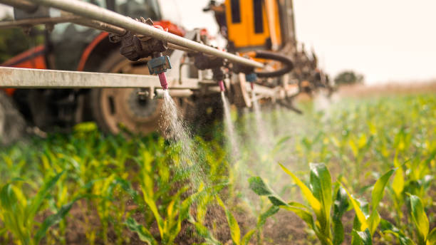 Pest Control Cost in Stony Brook, NY